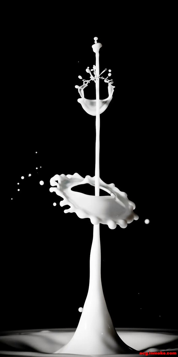 ѡ:ۺͼֽ(ڶ)-4.jpg