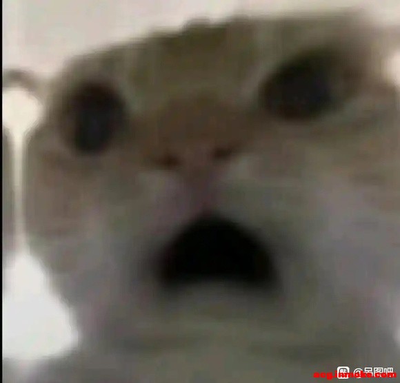 Ұ޶͹ڻ-1.jpg