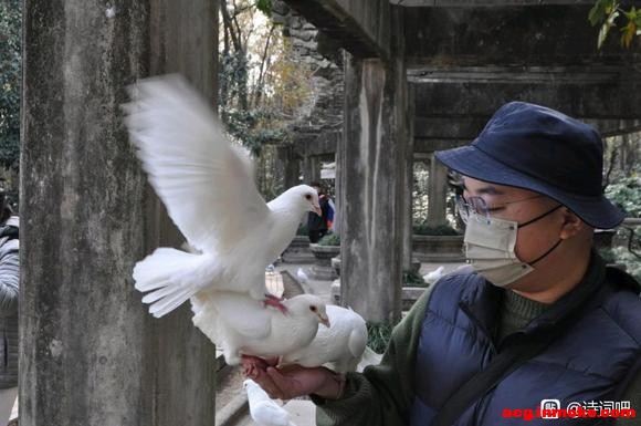 ƽ ɽϾɽ̨żÿĺС-3.jpg