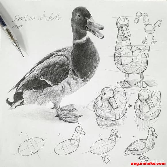 زģϽĶ 廭ο-1.jpg