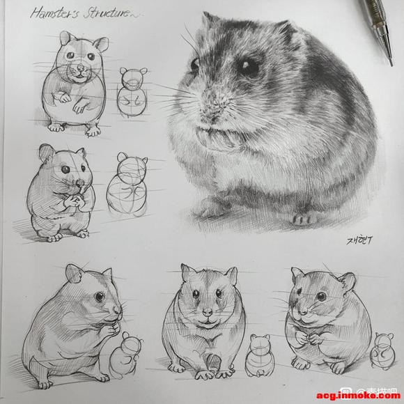 زģϽĶ 廭ο-8.jpg