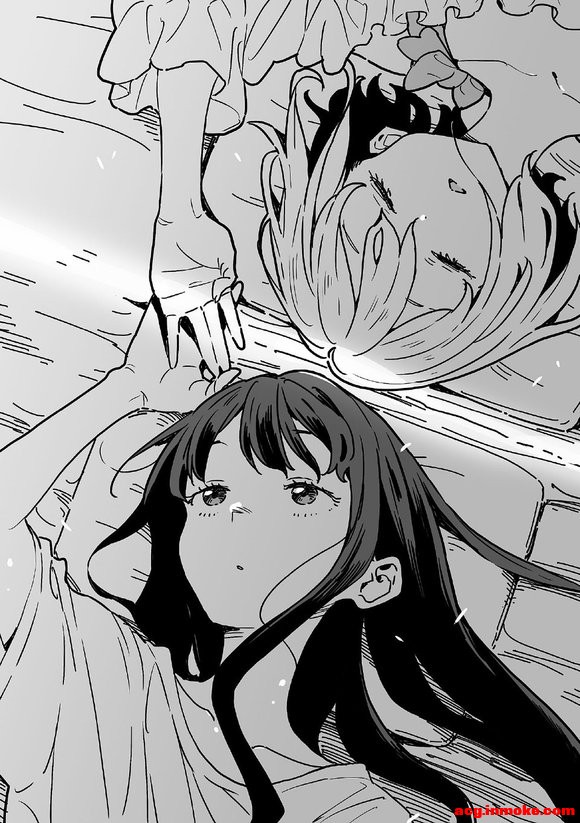 ������С˵ ȫ�廭-2.jpg