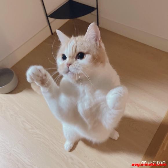 ��ҹ�������� ˵�����ԾǨ�����ﻰ-1.jpg