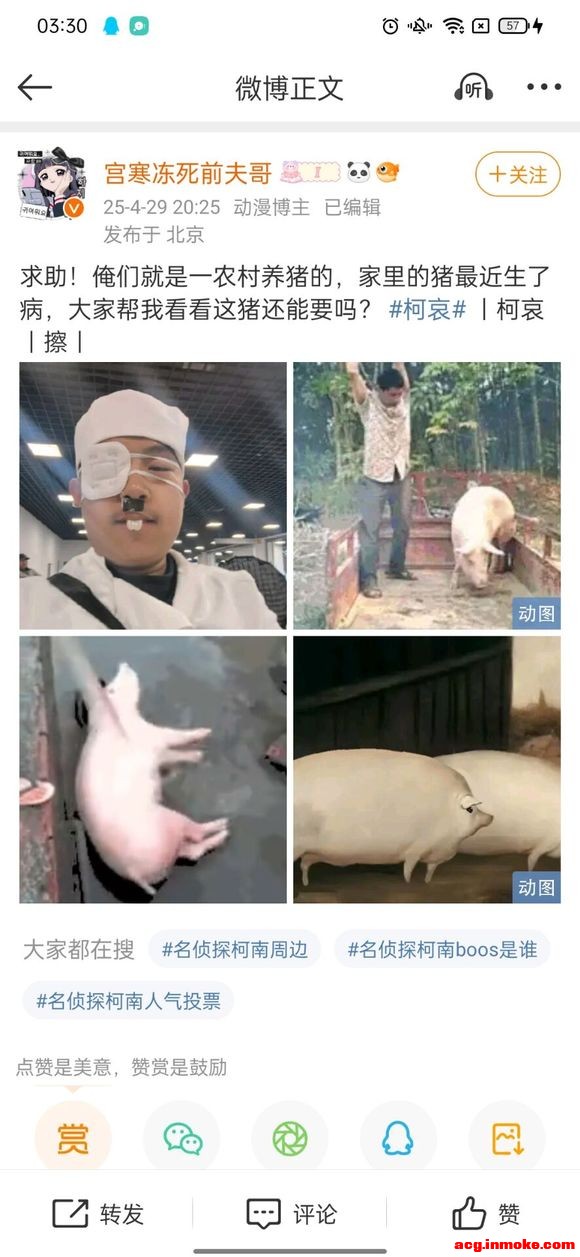 2025.5.1 COSв����򱻰�������-2.jpg