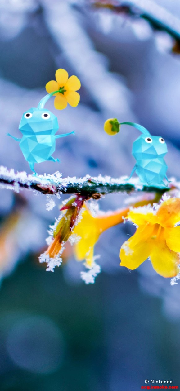 ��Ƥ�������ٷ���ֽ�����ȡ-1.jpg