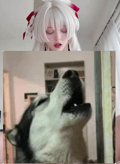 �ֲ�����ô��������ͼȷʵ�ÿ����Ҹ��õ�ԭͼ~~~~