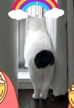 COSƬû趼ַܲ硣ܶM...