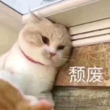 ʳɶֽcosȺ𡣾һ,ȥչ