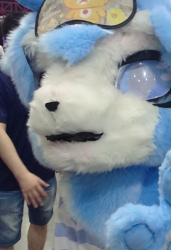 COSƬ,ͷ׽ʲô?ͼѲ