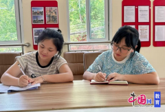 乐山市中区茅桥幼儿园开展课程故事交流