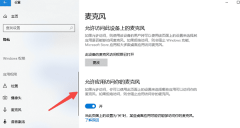  2. 确认系统允许应用访问麦克风