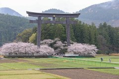  The Basics about Overtourism in Japan Travel News 