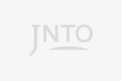 再到小笠原群岛充满异国风情的野生动植