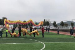 并坚持把乡村学校少年宫建设与县域特色