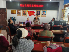 省畜科院养羊与草业科学研究所草课题研