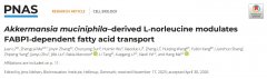 前沿交叉学科研究院生物学研究中心程道