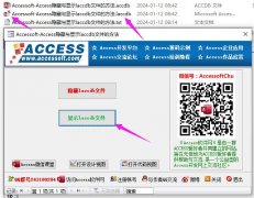 让计算机菜鸟同事打开自己用Access开发的