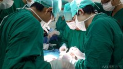 男子将15厘米胡萝卜捅入肛门 医生破腹拔