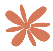 router: Use Claude Code as the foundation for codin