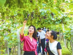璧山：培育农业新业态 城乡融合书新卷
