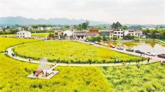  在乡村举办书法展
