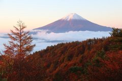 Olympic Games in Japan