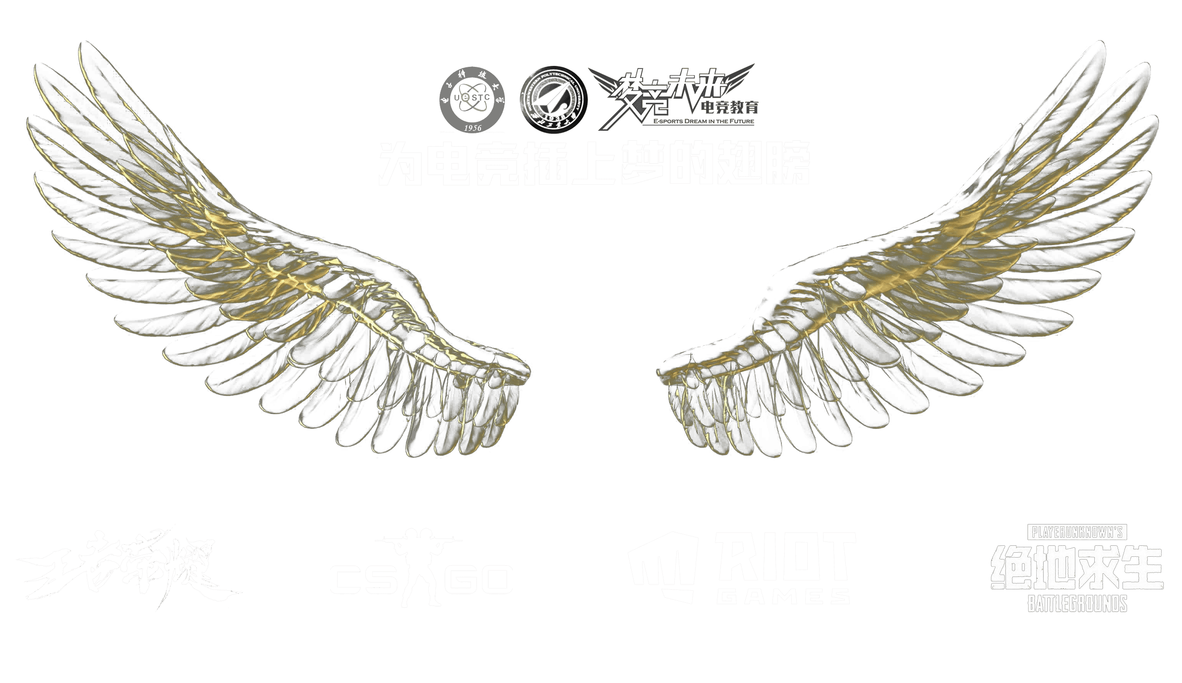 梦竞未来衡阳banner图