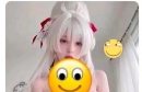 ��ԭͼ���ɻ�
