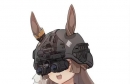 ̽һչ