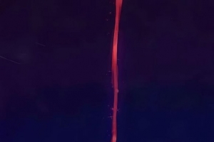 ٽǵٸֽ