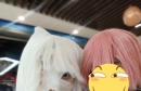 COSƬȥ裡