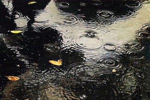 ����ֽ��ͻȻ| ��� |׃�� |���� ??.?.?