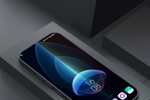 ��ֽ��������2024