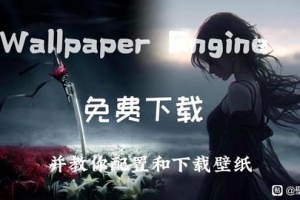 �����ε���ϲ����Wallpaper��̬��ֽ�������߰��ΰ氲װ