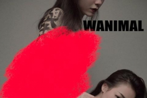 ����ֽ��WANIMAL ����