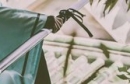 ��cos��Ƭ�����Ժͣ���������� ����׷�����ʾ��� һ������ɽ���Ľ� ���� ������ԭp