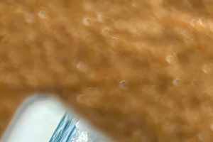 ����ֽ��7��30�ո����ֽ����