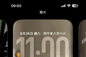 �����ֽ��