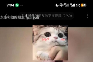 ���ŶԺ�����ν���������ü����Ĩ����