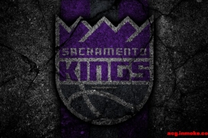 ���ӻա��ӻձ�ֽ