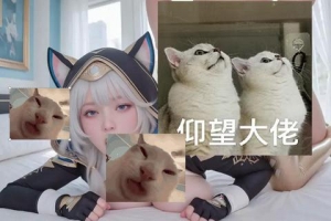 �����Ҹ�������Щԭͼ�������