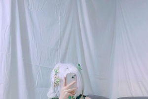 COSƬ񱦱