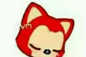 ��û�г���cos���ġ�