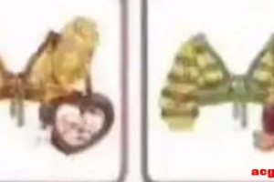 �����١��Ǻܸ���̬��