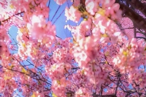 ����ֽ�������ֽ������������