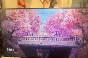 ֵ,ֽɶ