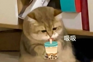 �ֵ��ǣ���Ҫ�ڳ���