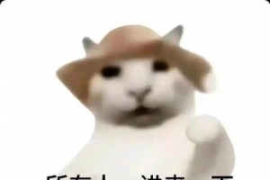 ����һЩ��Ա�ı�ֽ