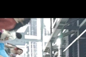 ��COS��Ƭ�����и�����?