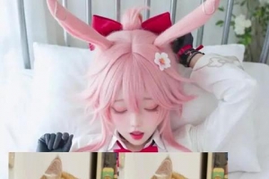 �����Ҹ�������Щԭͼ�������
